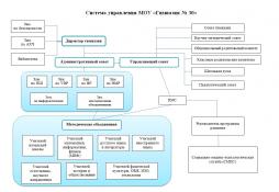 ОПИСАНИЕ СТРУКТУРЫ И ОРГАНОВ УПРАВЛЕНИЯ